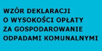 wzor deklaracji